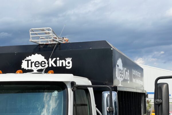 A bold and professional Tree King fleet wrap in Ottawa, reinforcing brand identity and professionalism on local roads.
